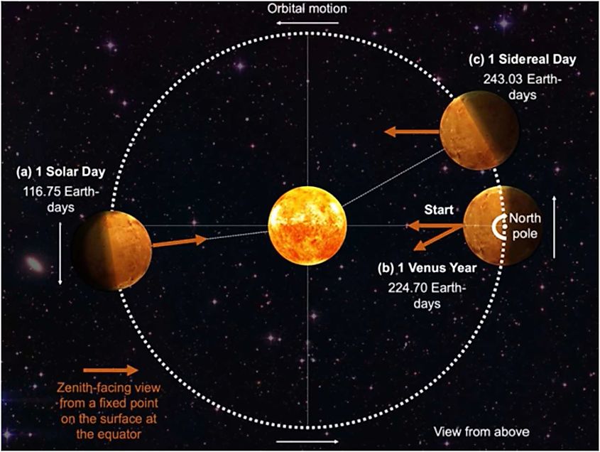 Venus and its rotation in respect to its revolution. 