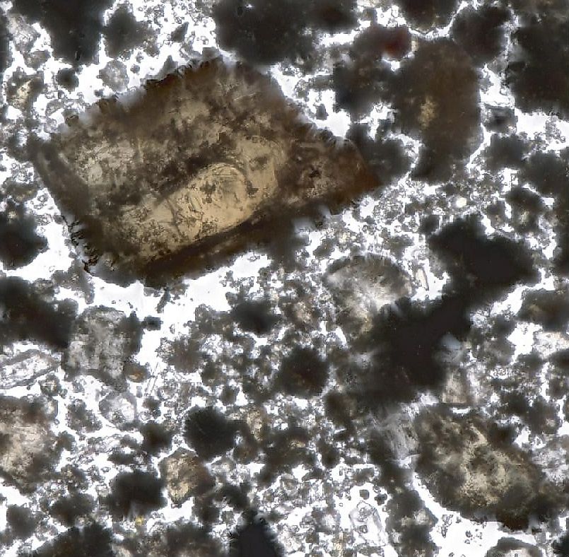 A lunar sample from Chang'e 6. Chunlai Li, Hao Hu, Meng-Fei Yang, CC BY 4.0 <https://creativecommons.org/licenses/by/4.0>, via Wikimedia Commons