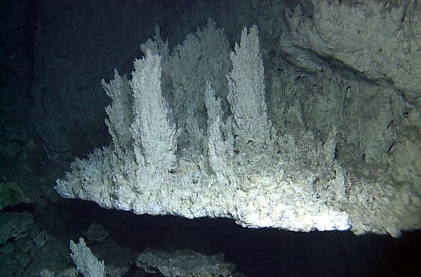 By National Science Foundation (University of Washington/Woods Hole Oceanographic Institution) - https://www.nsf.gov/od/lpa/news/press/01/pr0156.htm, Public Domain, https://commons.wikimedia.org/w/index.php?curid=7121090