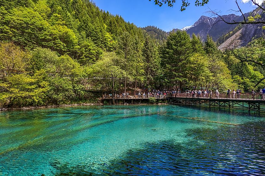 SICHUAN, CHINA-MAY 13, 2024 - Jiuzhaigou is a nature reserve and national park located in the north of Sichuan, China. Via Shutterstock / kikujungboy CC