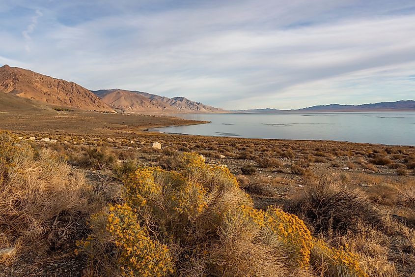 Walker Lake in the Nevada desert, a remnant of prehistoric Lake Lahontan. Credit: Victoria Ditkovsky/ Shutterstock.com
