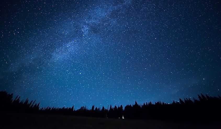 Stars scattered across a clear night sky viewed from the ground.