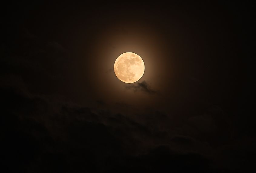 An extremely rare "Blue Micromoon". Via Shutterstock / Soumyabrata Roy. 