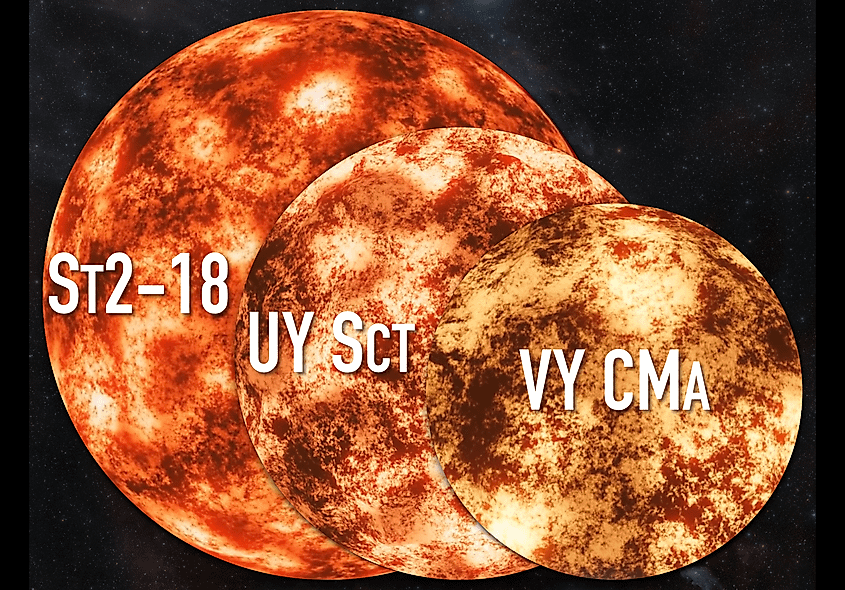 Size comparison of evolved red supergiant star Stephenson 2-18, the luminous red supergiant star UY Scuti, and the extreme red hypergiant star VY Canis Majoris.