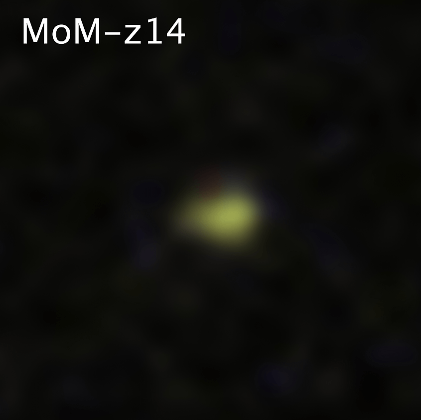 Image of MoM-z14 taken with NIRcam on the James Webb Space Telescope.