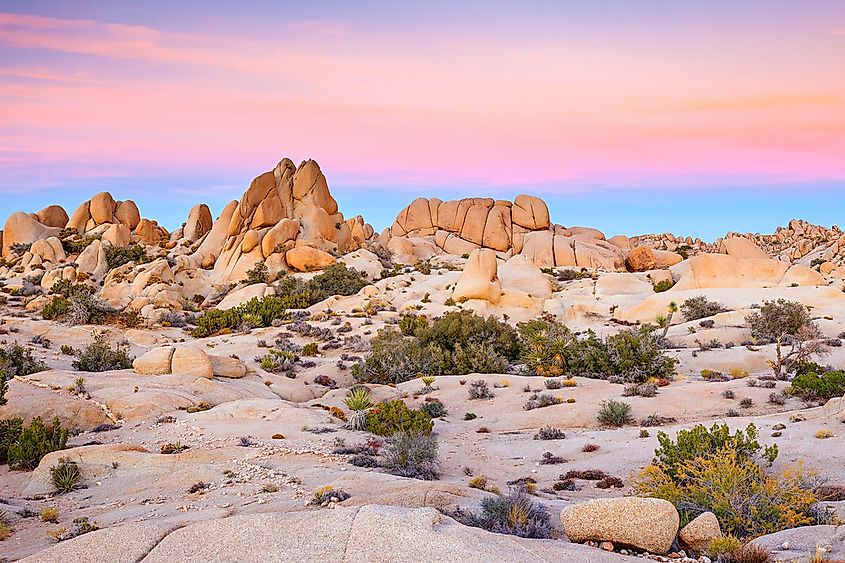The landscape of the Mojave Desert in California.