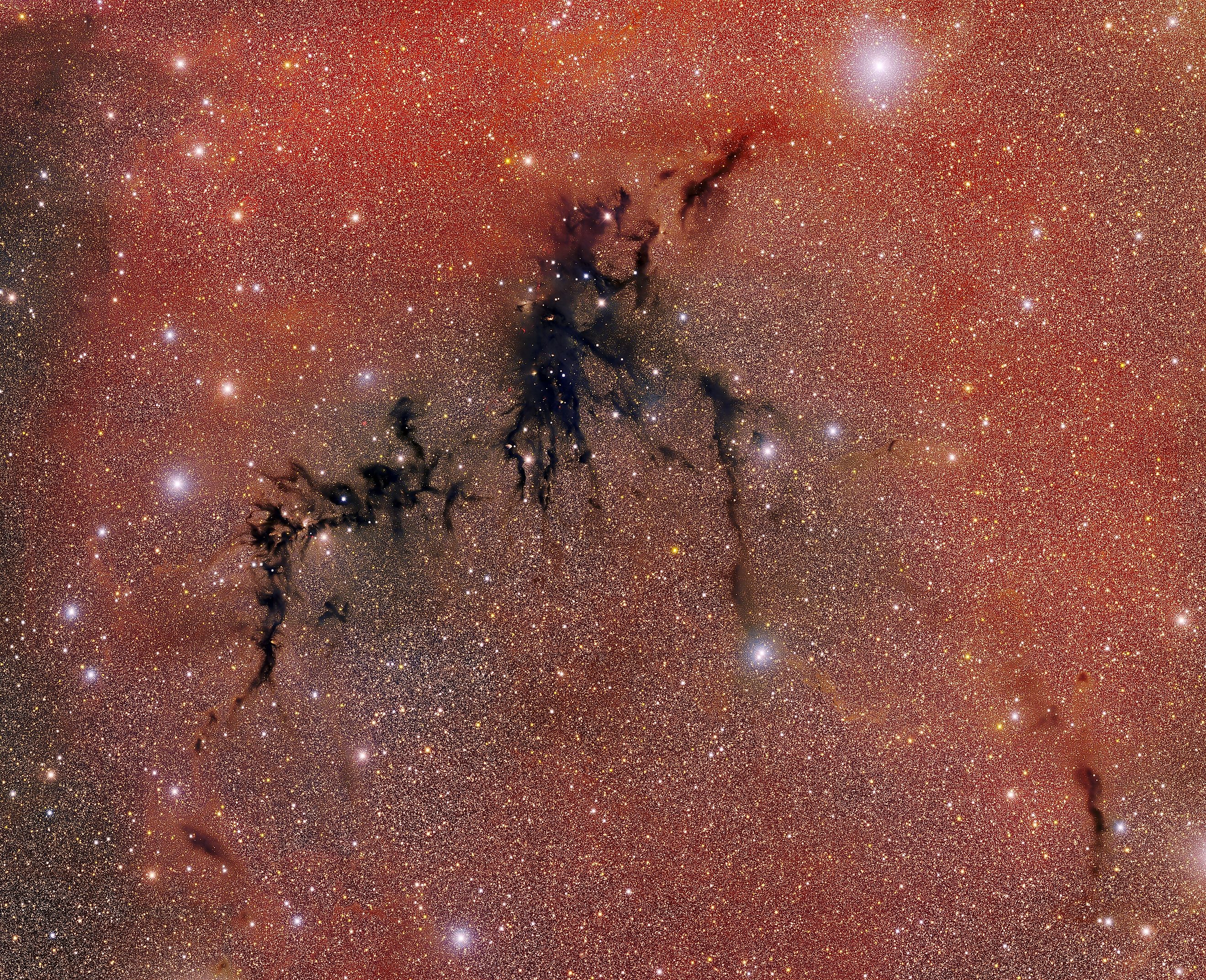 The Dark Energy Survey's camera imaged the Circinus West Molecular Cloud with its super-powerful lens. CTIO/NOIRLab/DOE/NSF/AURA Image Processing: T.A. Rector (University of Alaska Anchorage/NSF NOIRLab), D. de Martin & M. Kosari (NSF NOIRLab), CC BY 4.0 